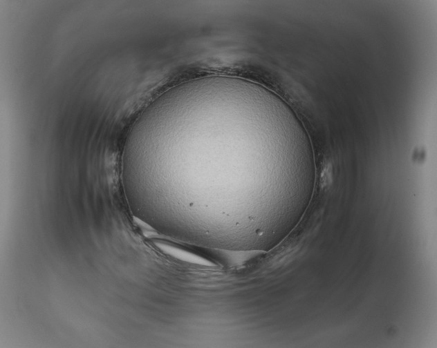 X0000112211156200908211511