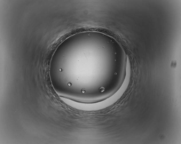 X0000112211157200908211511