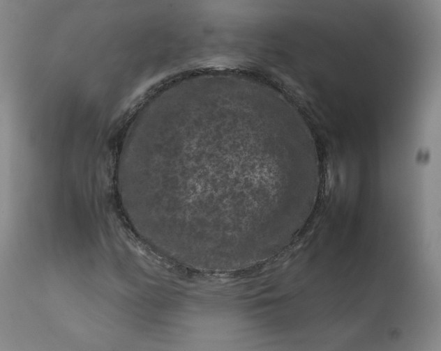 X0000112211158200908211511