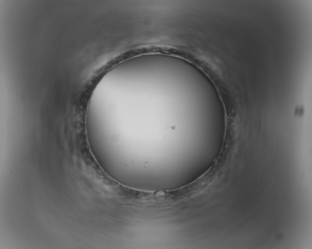 X0000112211159200908211511