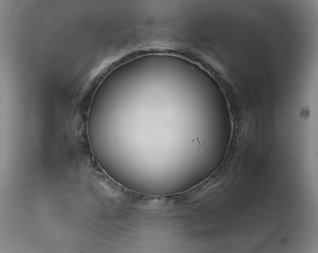 X0000112211160200908211511