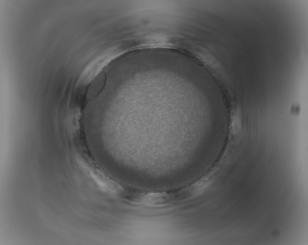 X0000112211161200908211511