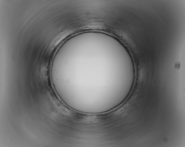 X0000112211162200908211511