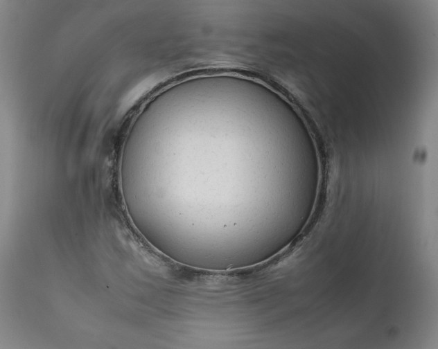 X0000112211163200908211511