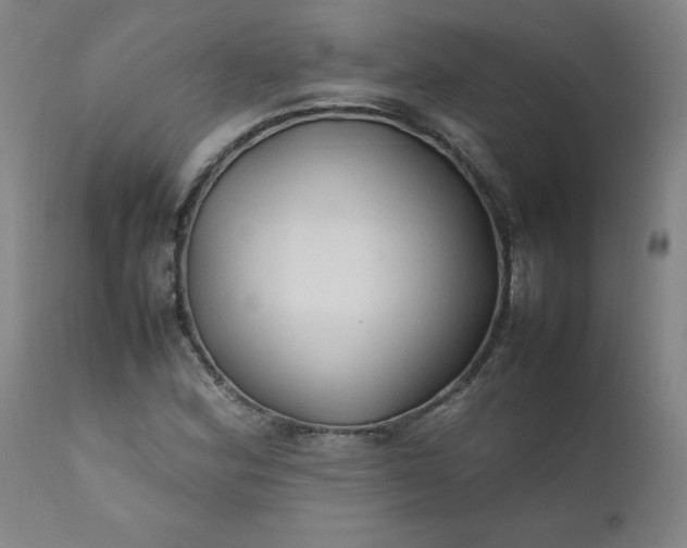 X0000112211164200908211511