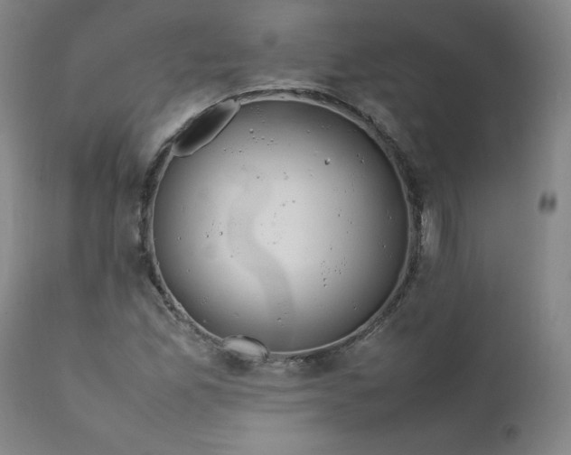 X0000112211165200908211511