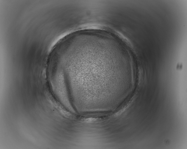 X0000112211166200908211511