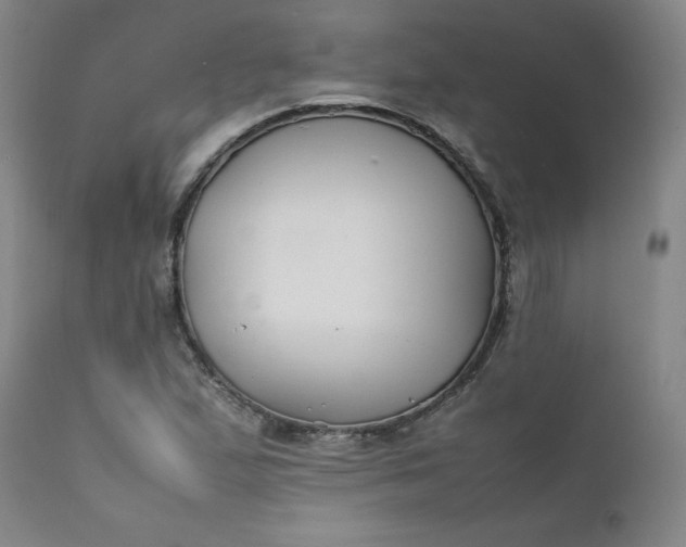 X0000112211167200908211511