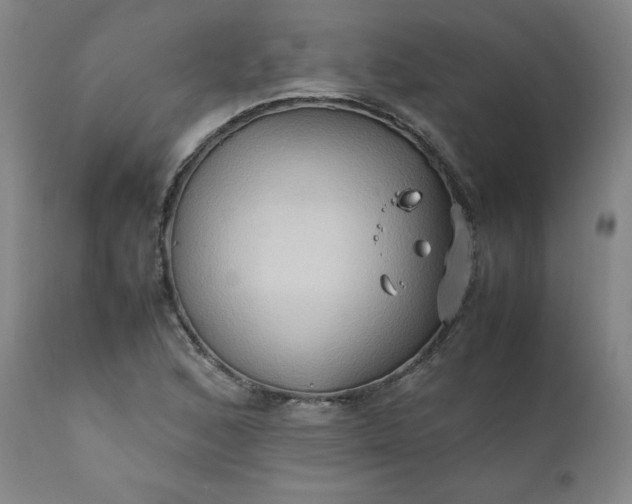 X0000112211168200908211511