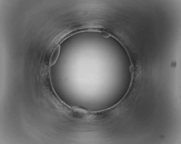 X0000112211169200908211511