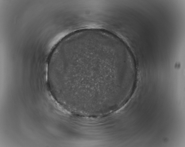 X0000112211171200908211511