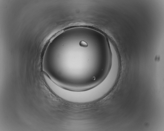 X0000112211173200908211511