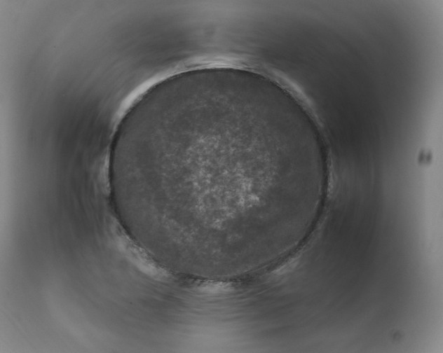 X0000112211174200908211511