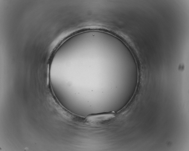 X0000112211175200908211511