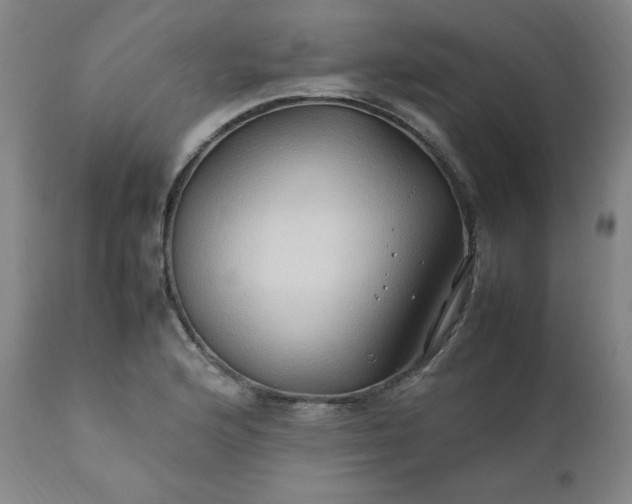 X0000112211176200908211511