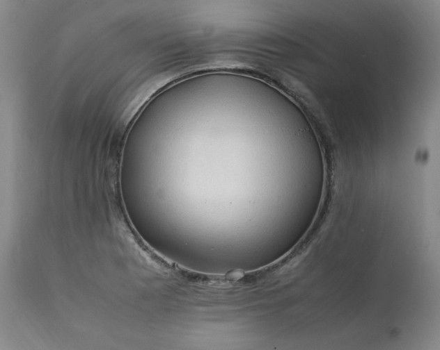 X0000112211177200908211511