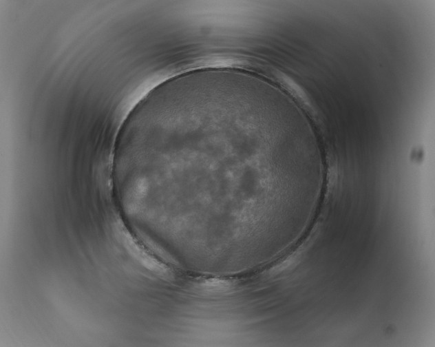 X0000112211178200908211511