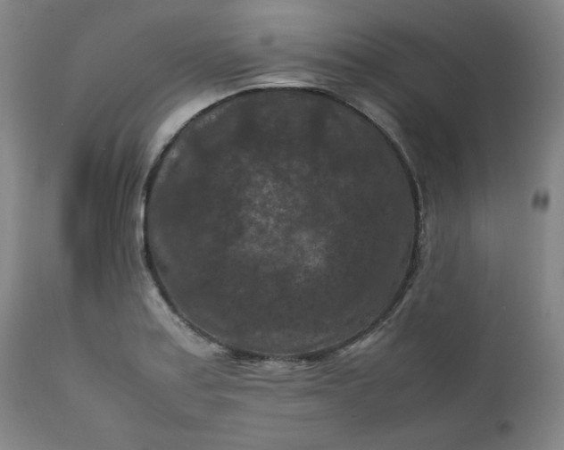 X0000112211179200908211511