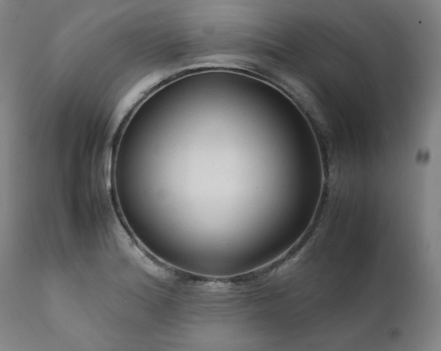 X0000112211180200908211511