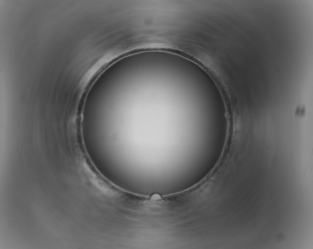 X0000112211181200908211511