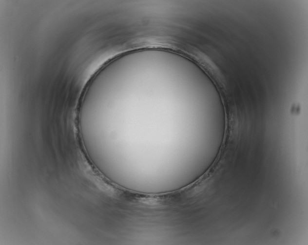 X0000112211182200908211511