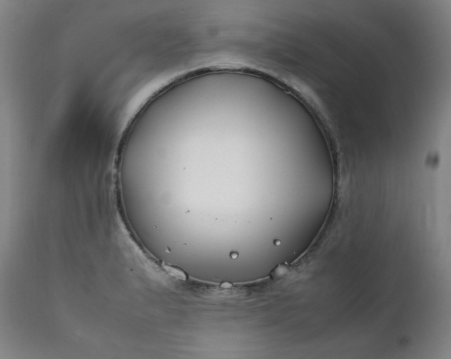 X0000112211183200908211511