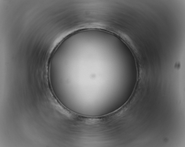 X0000112211184200908211511