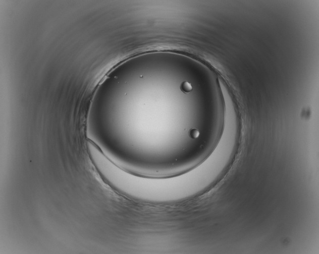 X0000112211185200908211511