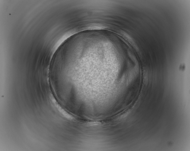 X0000112211186200908211511