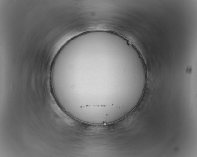 X0000112211187200908211511