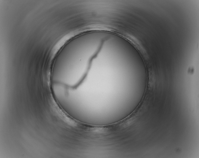 X0000112211188200908211511