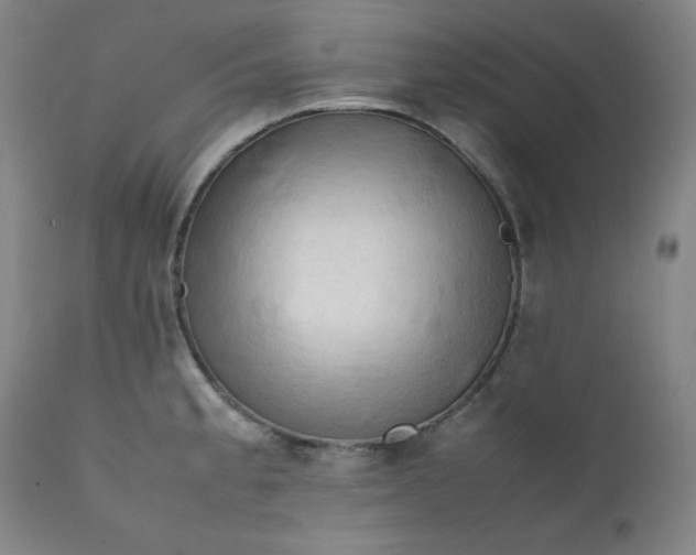 X0000112211189200908211511