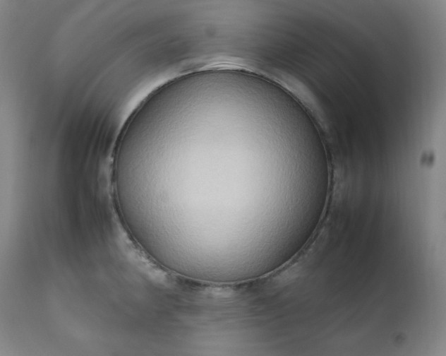 X0000112211190200908211511