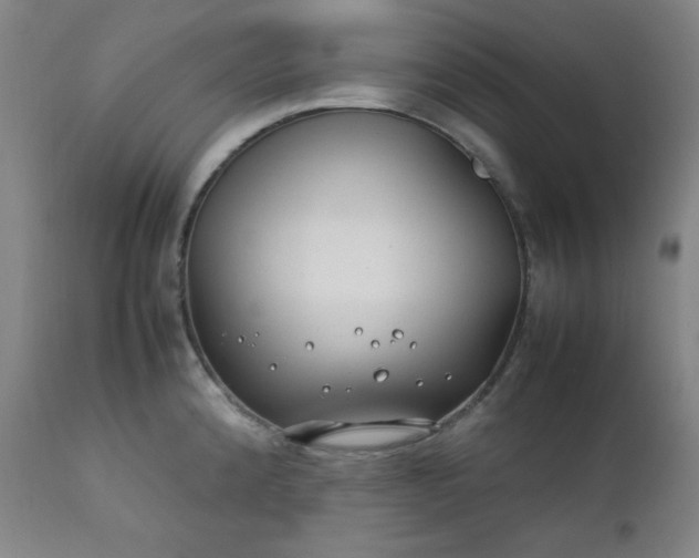 X0000112211192200908211511