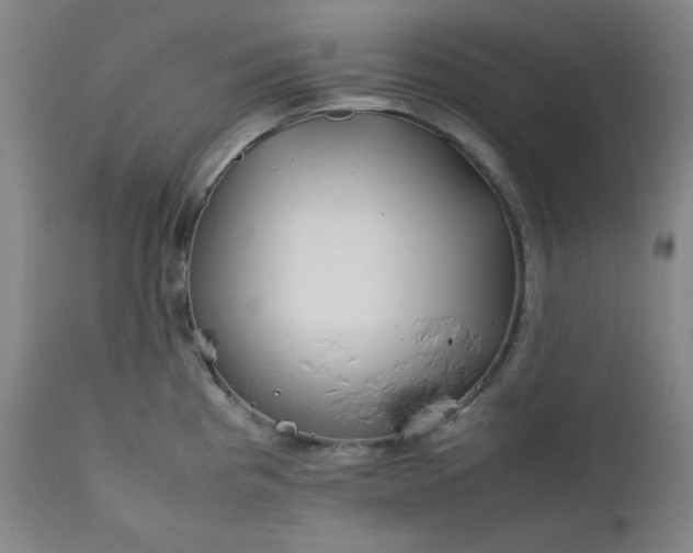 X0000112211193200908211511