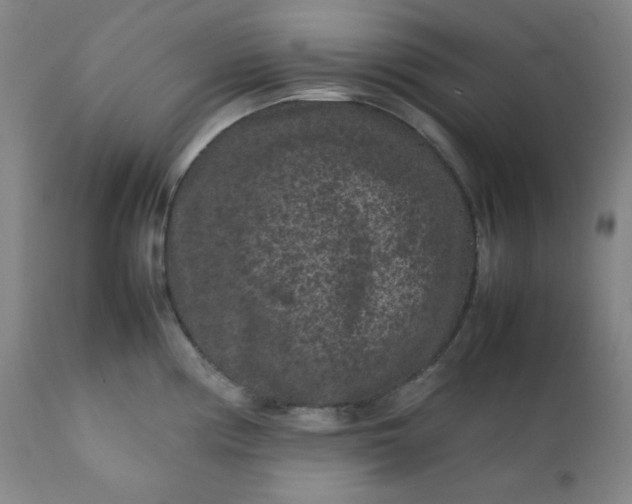 X0000112211194200908211511