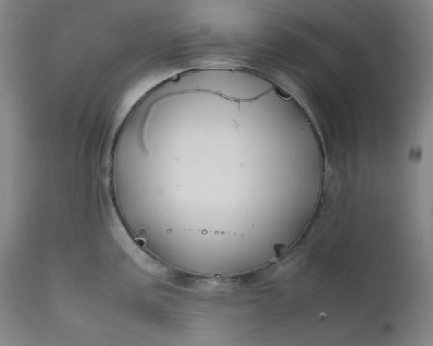 X0000112211195200908211511