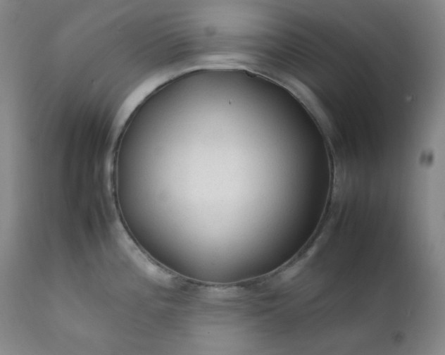 X0000112211196200908211511