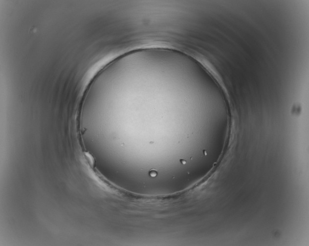 X0000112211197200908211511