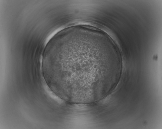 X0000112211198200908211511