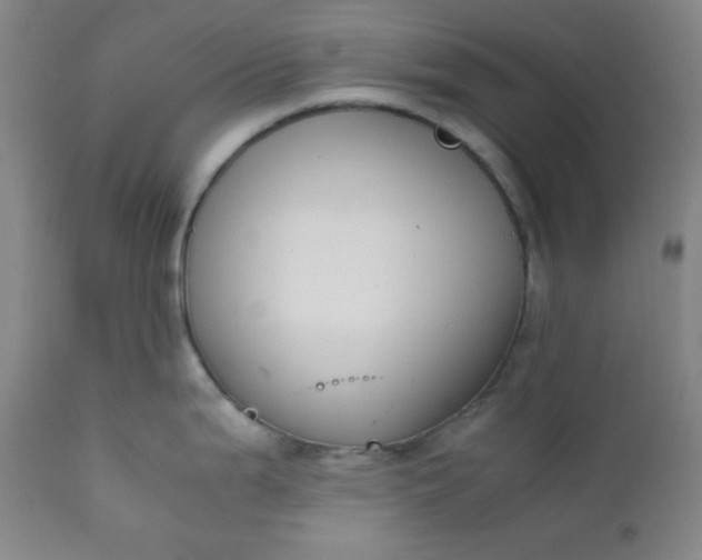 X0000112211199200908211511