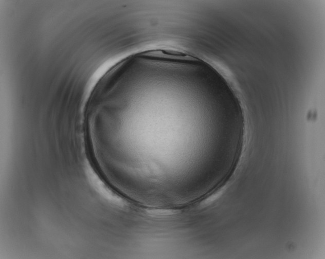 X0000112211200200908211511