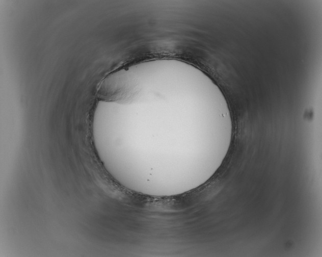 X0000112211201200908211510