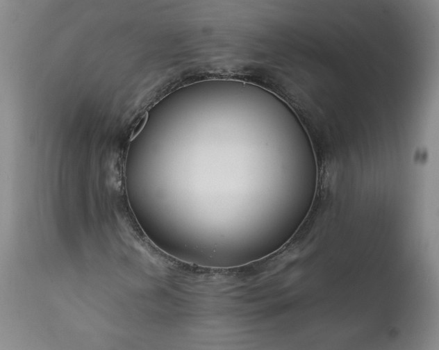 X0000112211202200908211510