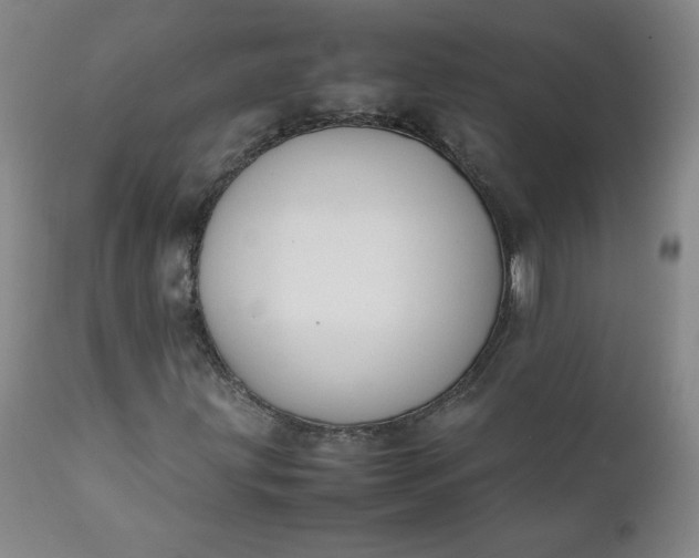 X0000112211203200908211510