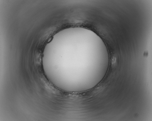 X0000112211204200908211510