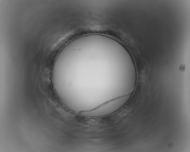 X0000112211205200908211510