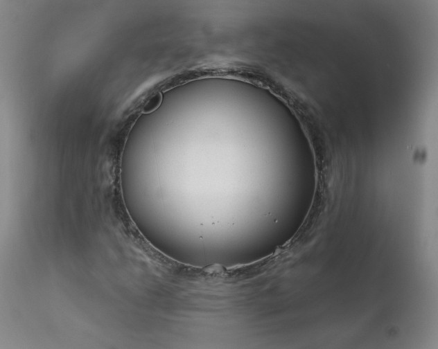 X0000112211206200908211510