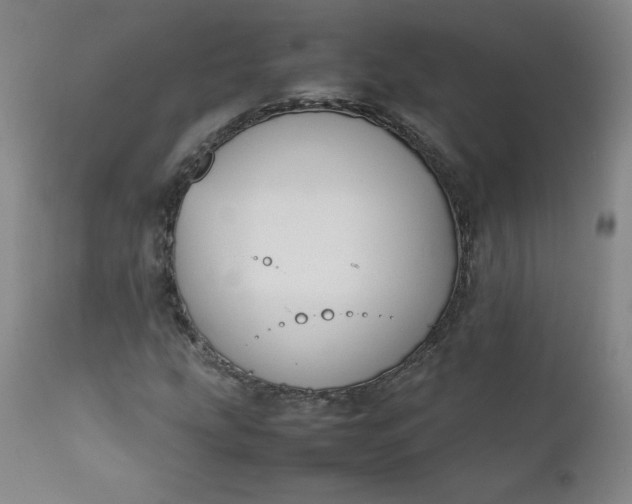 X0000112211207200908211510