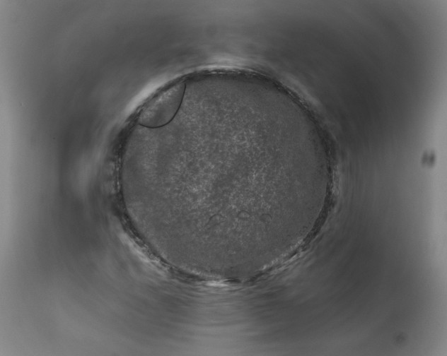 X0000112211208200908211510